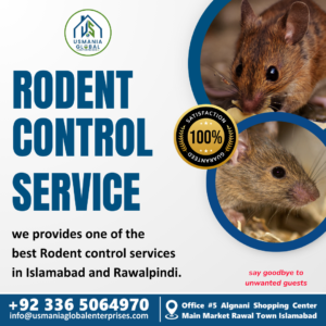 Rodent control service - warehouse pest control in Islamabad