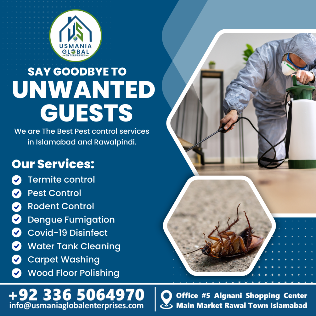 How to Choose the Best Pest Control Company in Islamabad