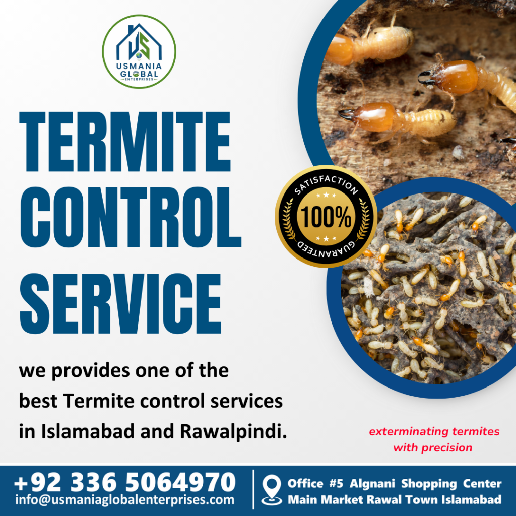 Termite control in Islamabad - warehouse pest control in Islamabad
