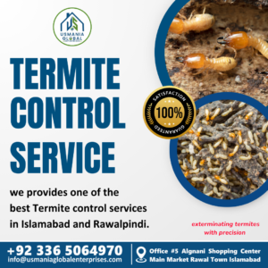 Termite control in Islamabad - warehouse pest control in Islamabad