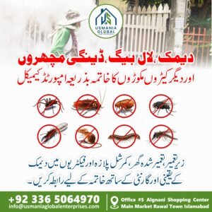 Termite control in Islamabad